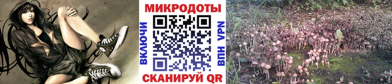 хочу наркоту  Красный Кут  Галлюциногенные грибы прущие грибы 